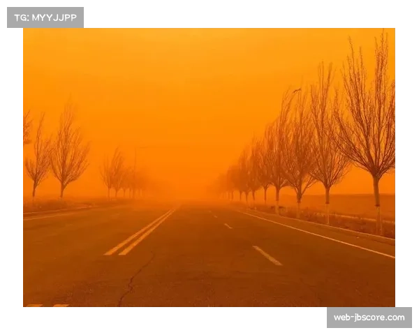 印第安维尔斯赛场遭遇沙尘天气,多场比赛被迫延迟